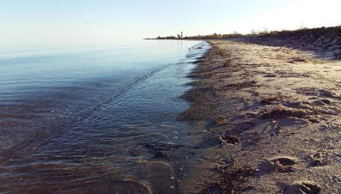 Wormshöft 16 - Foto 4