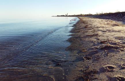 Wormshöft 16 - Foto 4