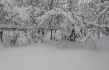 Bambi Forest House - Photo 26