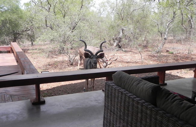 Marloth Kruger Bush Villa - Foto 4