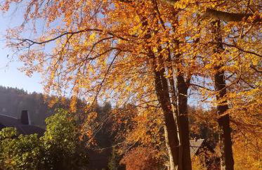 Haus Stefanie Elvire - Foto 80