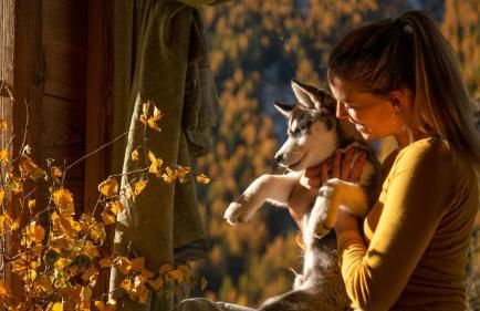 Agriturismo Plan de la Tour B&B - Photo 17