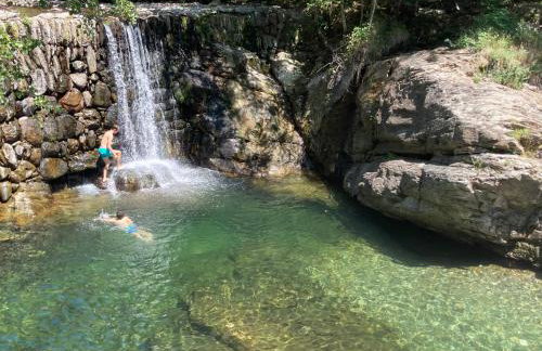 L'évidence - Foto 6