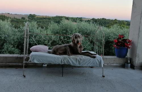 Gîtes Lou Limbert Plateau de Valensole - Foto 19