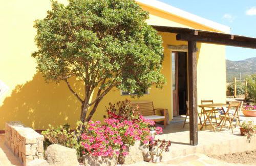 Agriturismo Campesi casale tra le vigne - Photo 77