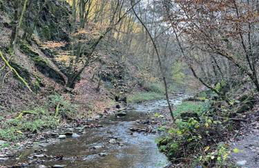 Charmante Ferienwohnung in Mastershausen/Hunsrück - Foto 25