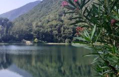 L’Angolino di MAGDA: on the lake-PRIVATE beach! - Foto 1