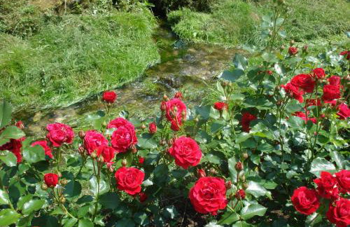 Ferienhof Hohe - Foto 21