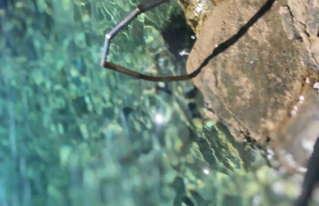 Seafront House Antonia - Foto 24