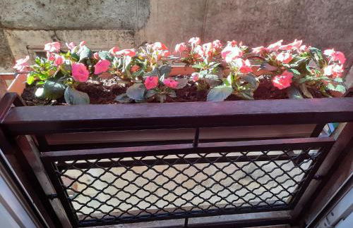 Viccinella House - Foto 14