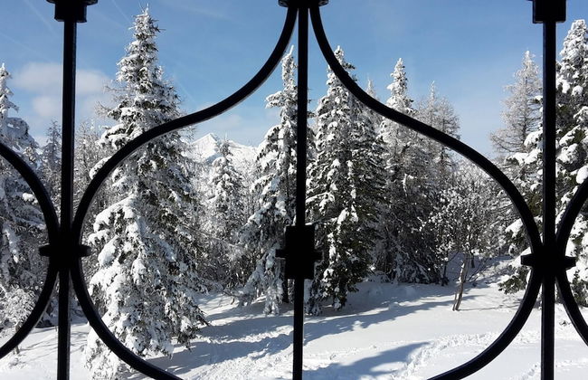 Chalet Pehta - Velika Planina - Foto 24