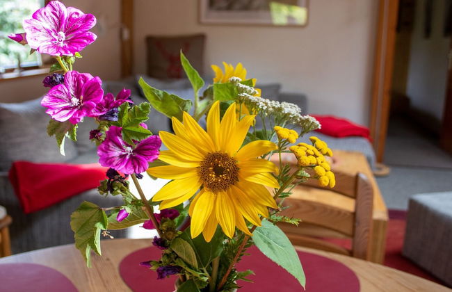 Ferienhaus, Suhlendorf - Foto 7