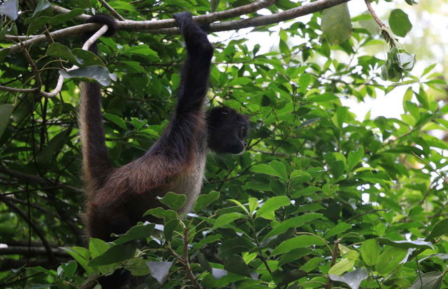 Yaxhá Day Trip - Photo 3