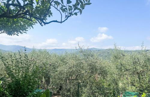 Apartment Marisa - DOL126 by Interhome - Foto 61