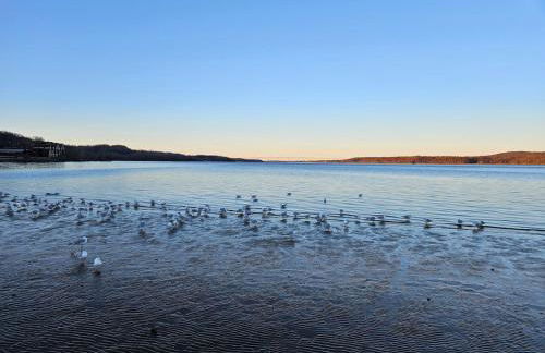 New- Farm view-Winter escape with cozy fireplace - Foto 54