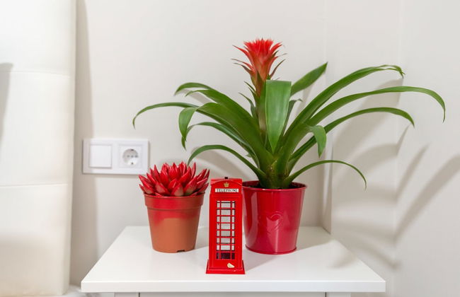 Olletas Apartment - Foto 24