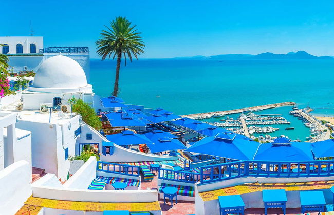 Tour por Túnez, Cartago y Sidi Bou Said para cruceros - Foto 1