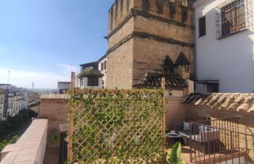 La Muralla de San Fernando de Córdoba - Foto 1