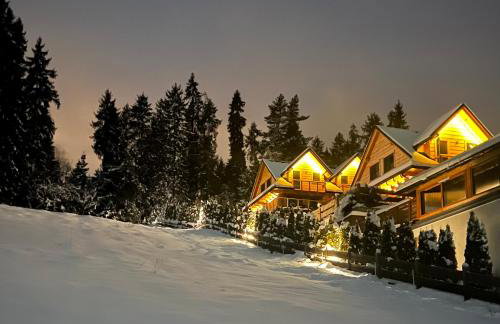 Dom na Zielonym Wzgórzu z własną Sauną i Jacuzzi - Foto 4