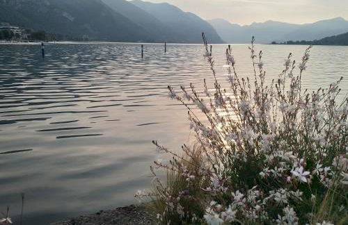 Lake View Terrace - Foto 33