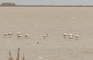 Surf-themed stone house at Kalliopi 2 - Foto 49
