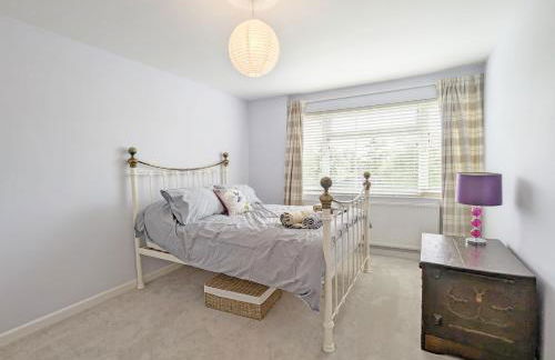 Birch Tree - Photo 12