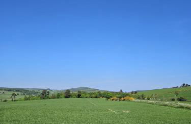 Hillhaven Lodge - Foto 22