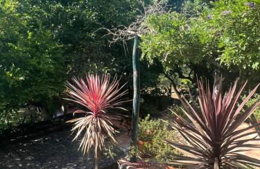 Casa da Costinha - Foto 36