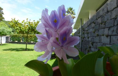 Quinta do Vale - Foto 22