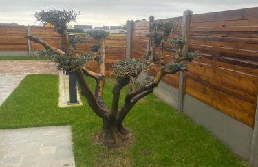 GITE BEAUSEJOUR à Fontenay sur Mer, 50m de la plage et face au golf - Foto 3