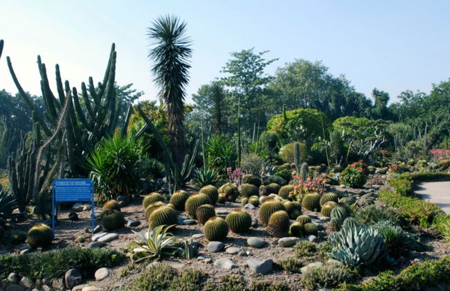 Private Chandigarh Sightseeing Tour - Photo 2