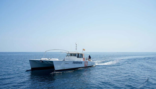 Catamaran Trip with Lunch - Foto 5