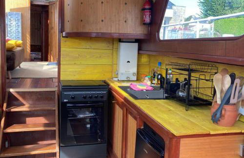 L'Amazone - bateau à quai sur le canal de bourgogne - Foto 7