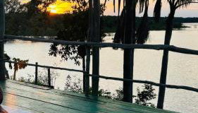 Premium Amazon Jungle Lodge - Foto 2