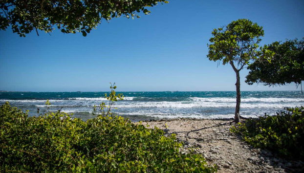La Parguera Snorkelling - Photo 2