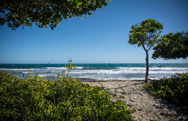 Snorkeling à La Parguera - Photo 2
