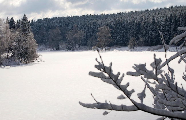 Log Cabin in Hasselfelde Near Harzer-hexen-stieg - Foto 19