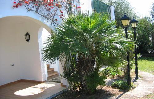 Apartamentos Marivent - Foto 13