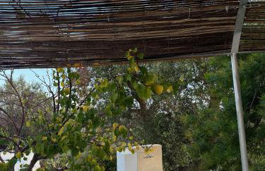 Casedda Mia a charming cottage with cozy private pool - Foto 47