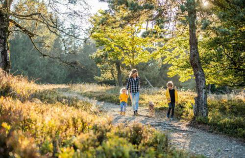 Appartement Mountain Escape 66 - Comfort & Uitzicht | Am Bergelchen 66 Niedersfeld Winterberg - Foto 49