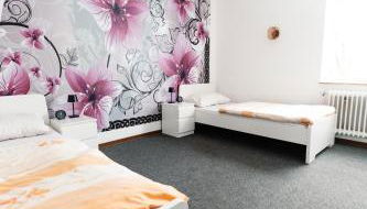 MonteurGut Apartments Linde - Foto 5