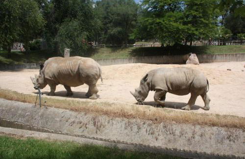 Apartamento Turistico Cigüeña de Arguedas - Foto 75