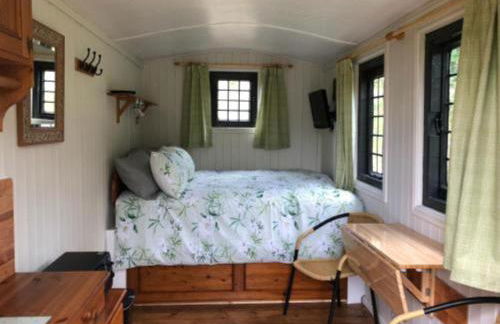 Snug & Secluded Lakeside Shepherds Hut 'Carp' - Foto 16