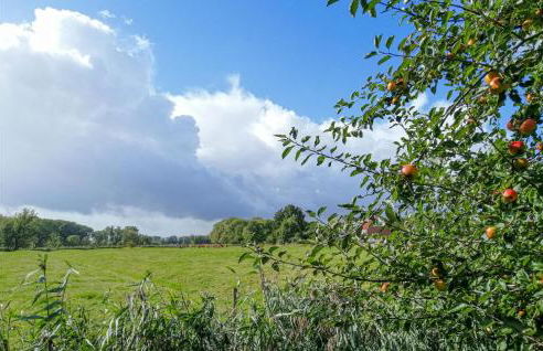 Nice Home In Drochtersen - Foto 14