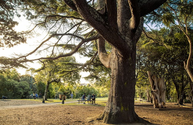 Quest Albany - Foto 15