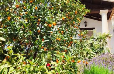 Casa Nilla - Foto 19