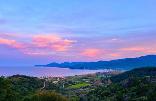 Garden Residence - Foto 49