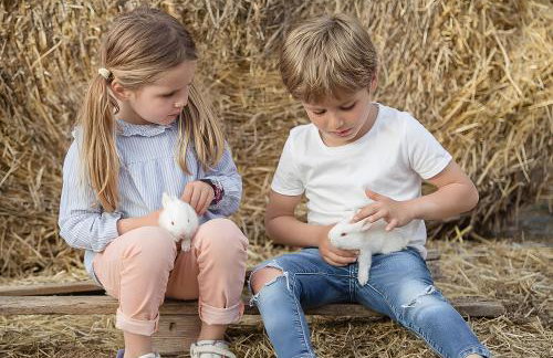 Casa Marcús - Foto 33