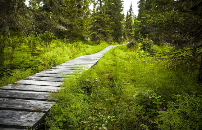 Sallatunturin Tuvat - Foto 23