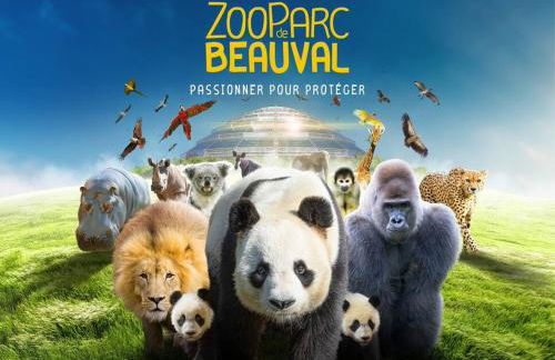 L’appartement du Cher - Foto 13